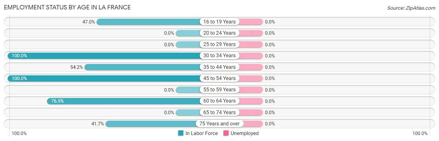 Employment Status by Age in La France