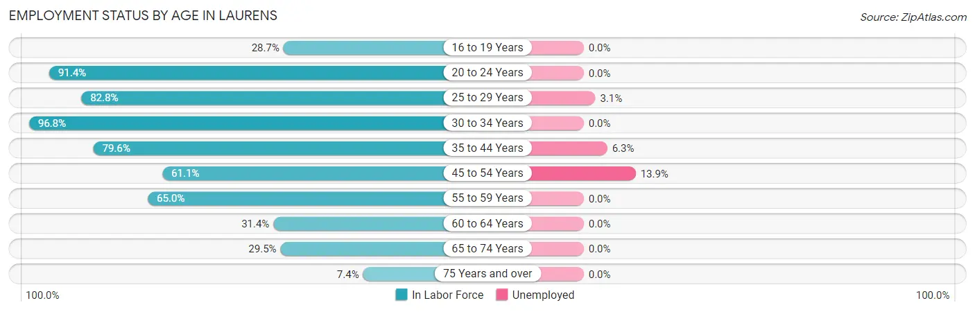 Employment Status by Age in Laurens