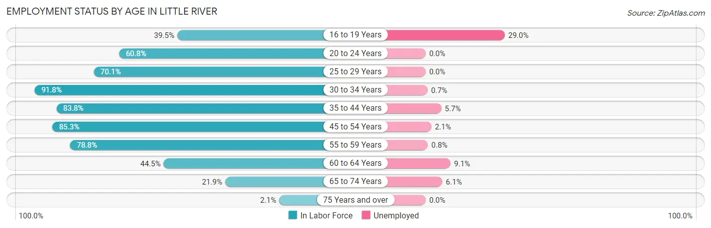Employment Status by Age in Little River
