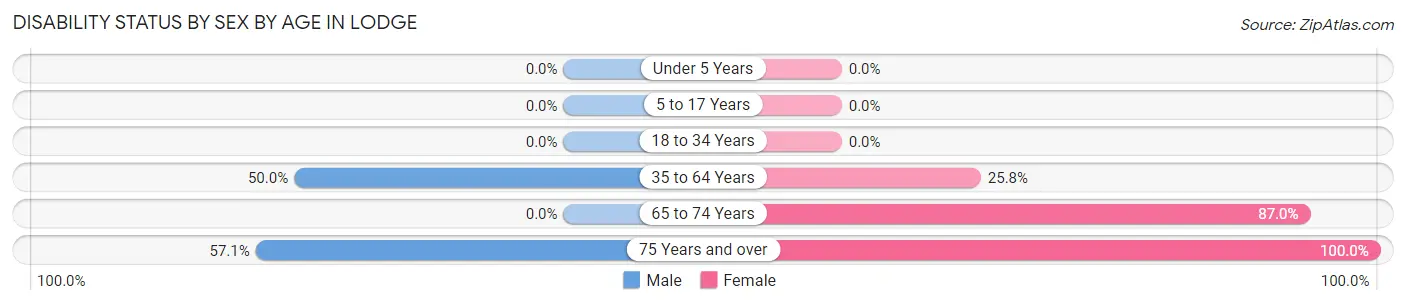 Disability Status by Sex by Age in Lodge