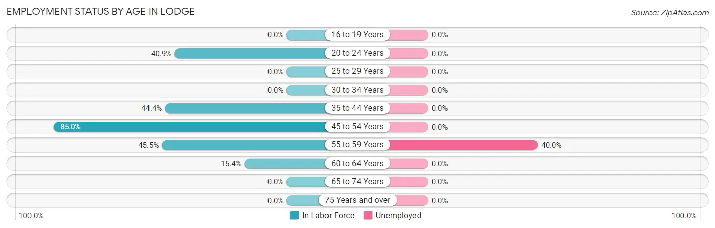 Employment Status by Age in Lodge