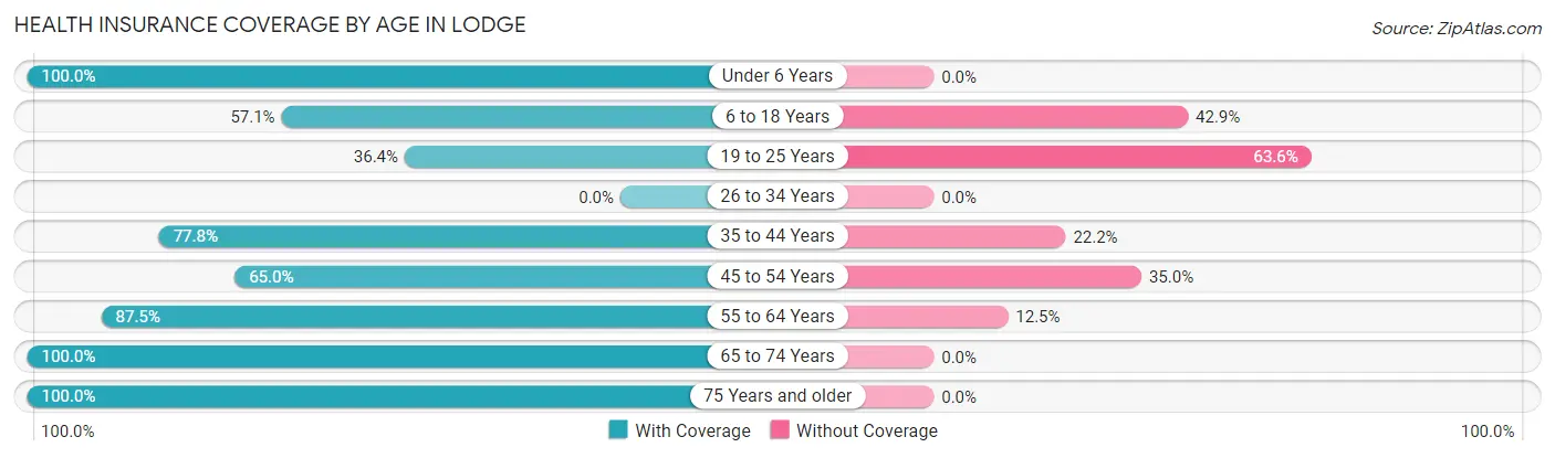 Health Insurance Coverage by Age in Lodge