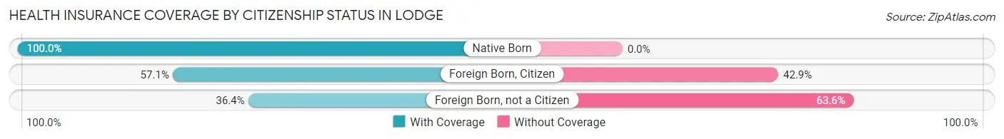 Health Insurance Coverage by Citizenship Status in Lodge