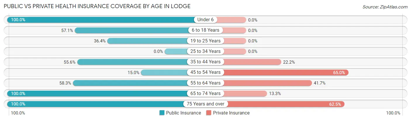 Public vs Private Health Insurance Coverage by Age in Lodge