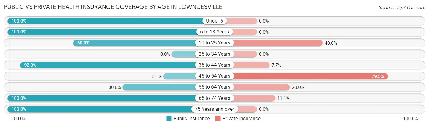Public vs Private Health Insurance Coverage by Age in Lowndesville