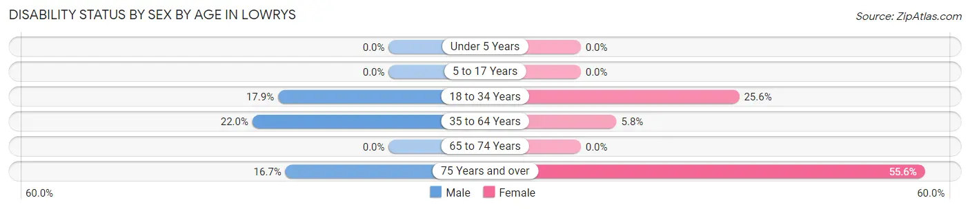 Disability Status by Sex by Age in Lowrys