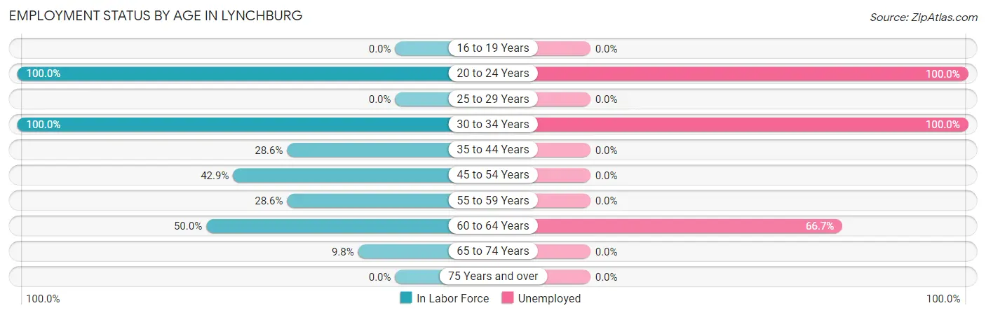 Employment Status by Age in Lynchburg