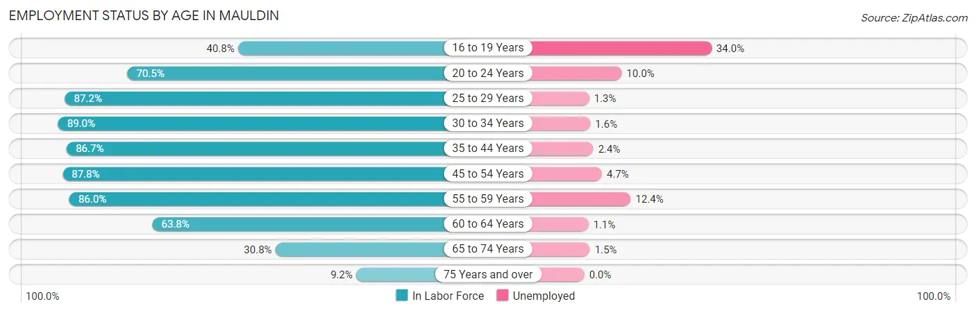 Employment Status by Age in Mauldin