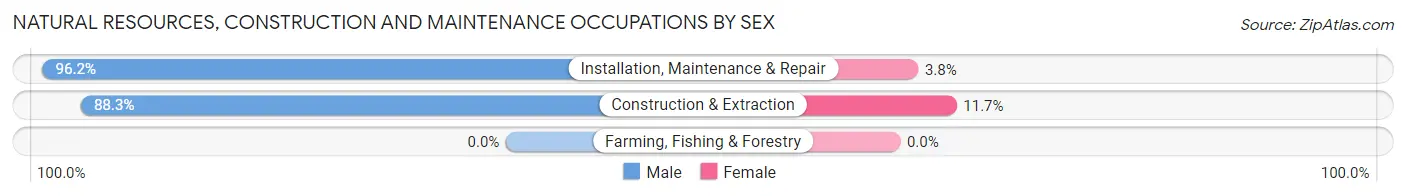 Natural Resources, Construction and Maintenance Occupations by Sex in Mauldin
