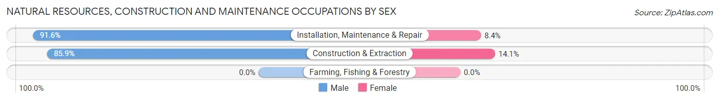 Natural Resources, Construction and Maintenance Occupations by Sex in Moncks Corner
