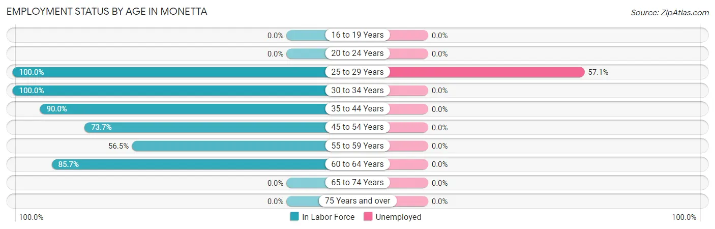 Employment Status by Age in Monetta