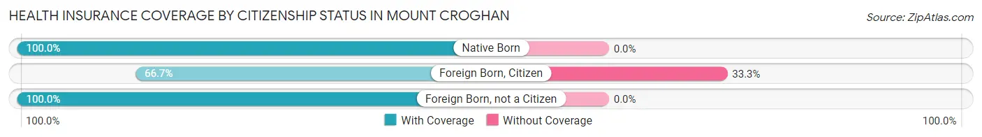 Health Insurance Coverage by Citizenship Status in Mount Croghan