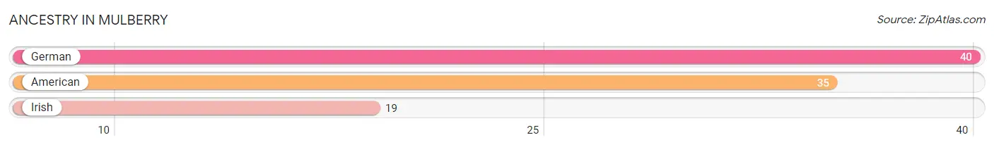 Ancestry in Mulberry