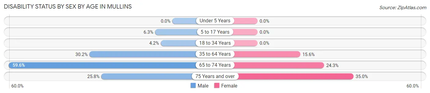 Disability Status by Sex by Age in Mullins