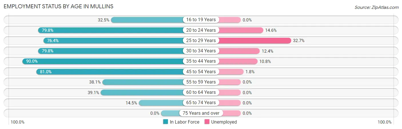 Employment Status by Age in Mullins