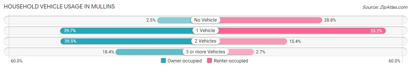Household Vehicle Usage in Mullins