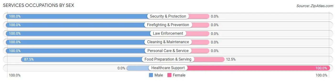 Services Occupations by Sex in New Ellenton