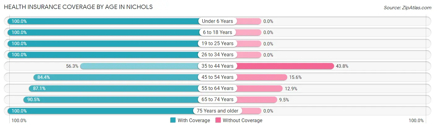 Health Insurance Coverage by Age in Nichols