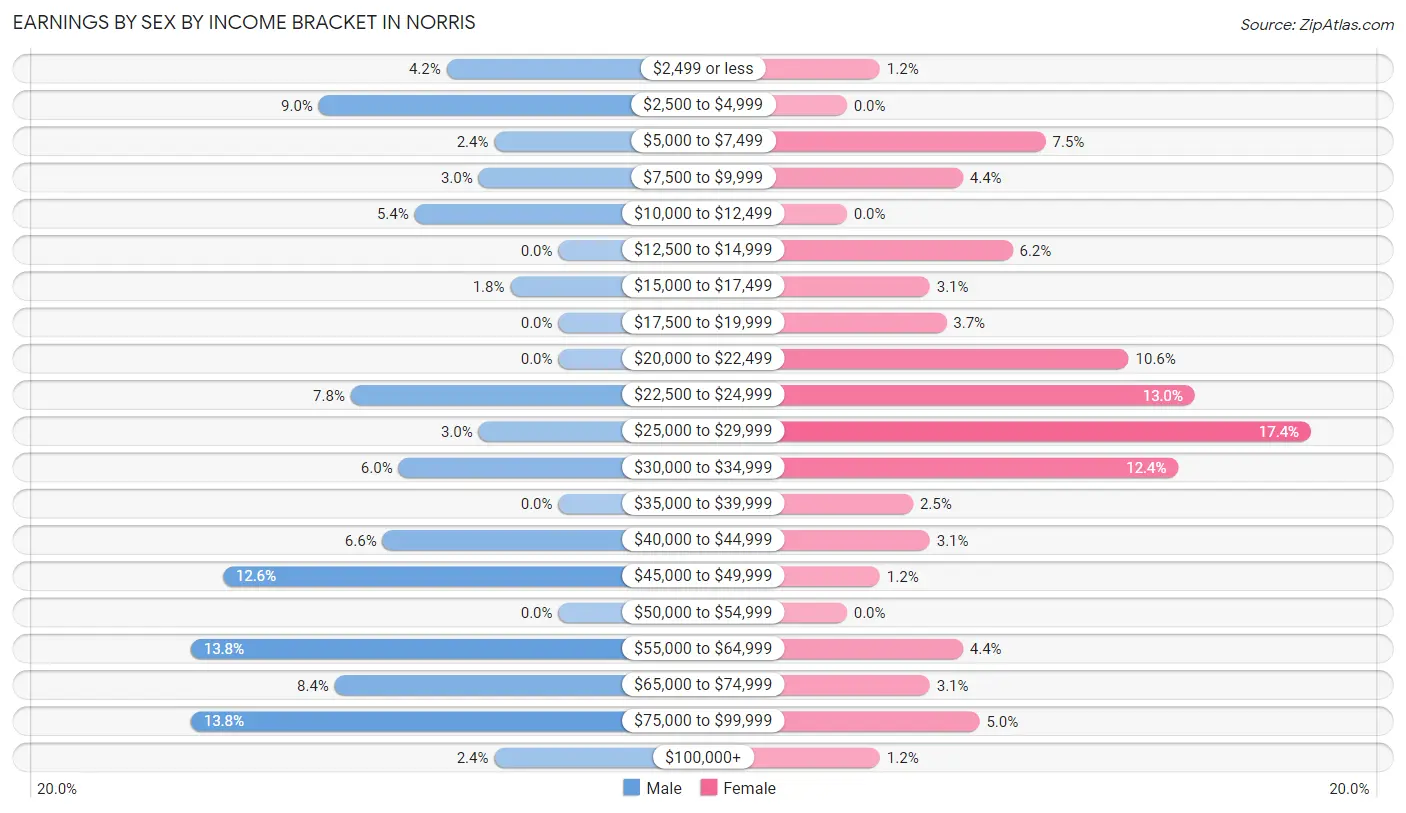 Earnings by Sex by Income Bracket in Norris