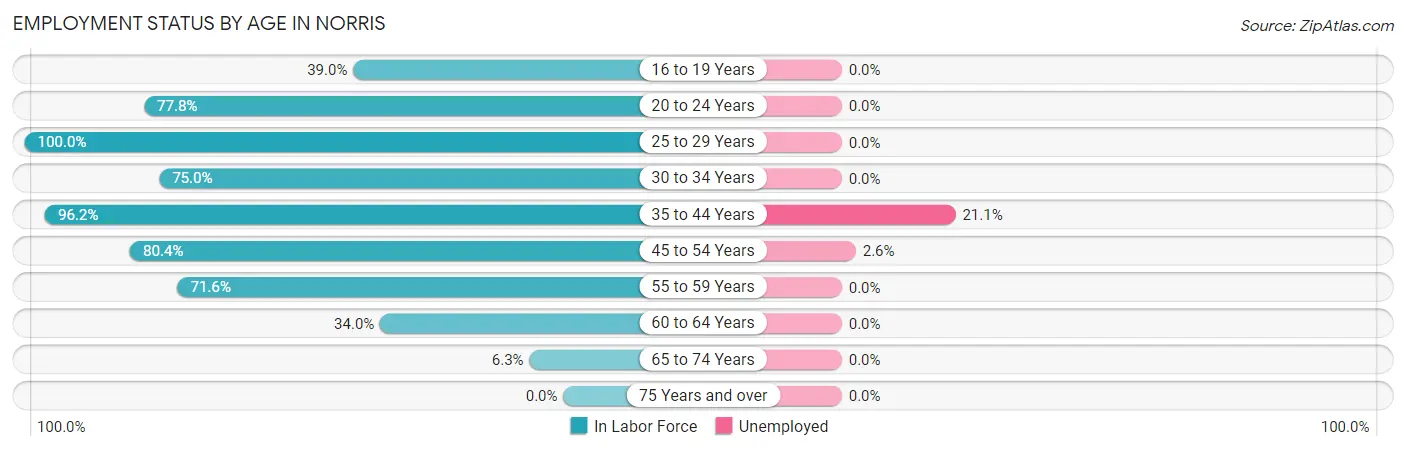 Employment Status by Age in Norris