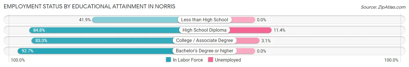 Employment Status by Educational Attainment in Norris