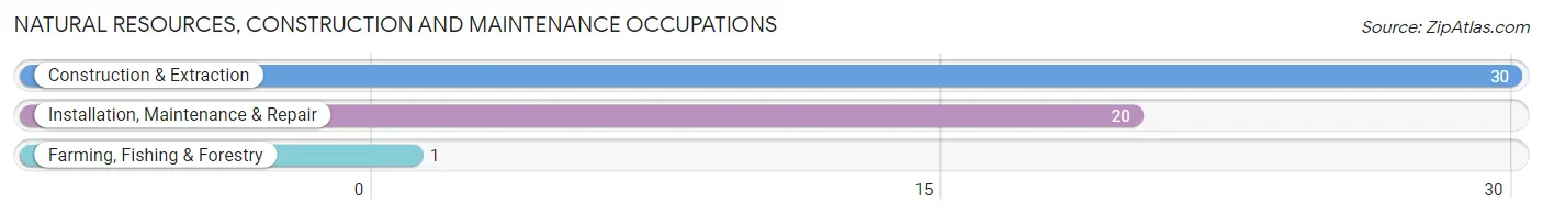 Natural Resources, Construction and Maintenance Occupations in Norris