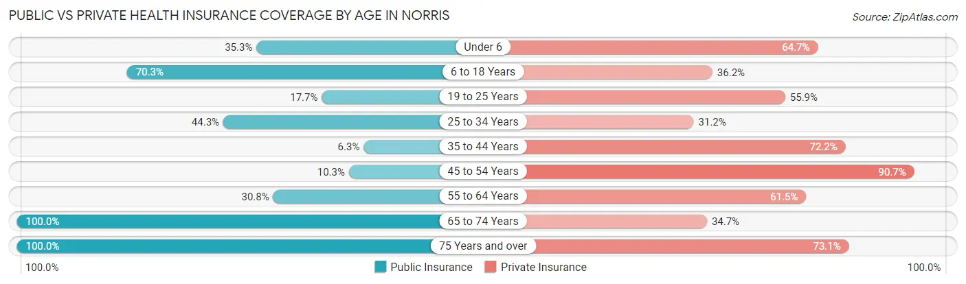 Public vs Private Health Insurance Coverage by Age in Norris
