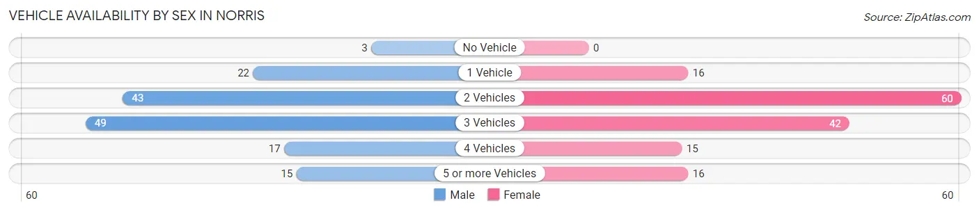 Vehicle Availability by Sex in Norris