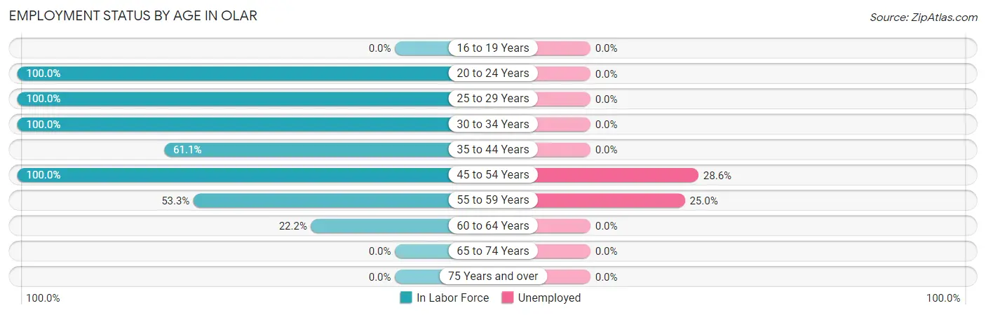 Employment Status by Age in Olar
