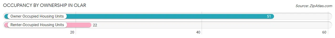 Occupancy by Ownership in Olar