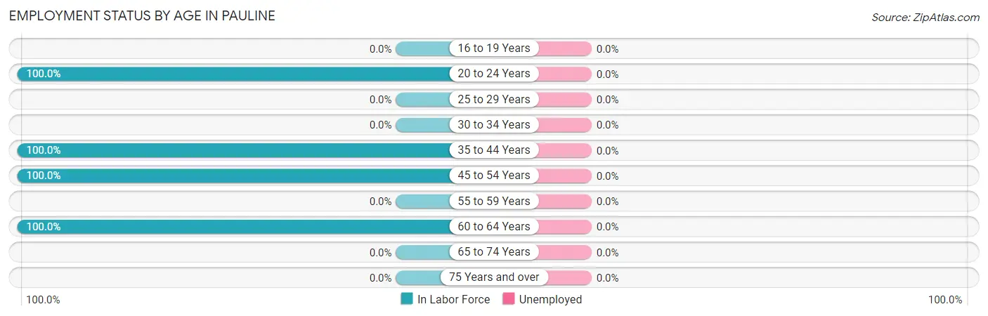 Employment Status by Age in Pauline