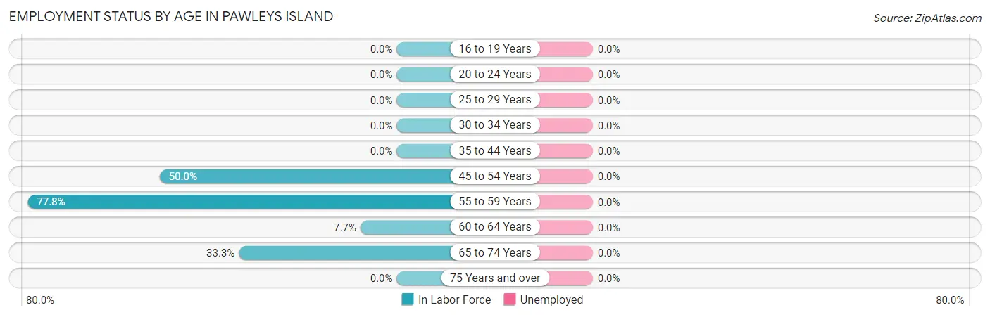 Employment Status by Age in Pawleys Island