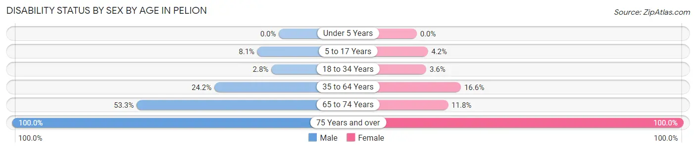 Disability Status by Sex by Age in Pelion