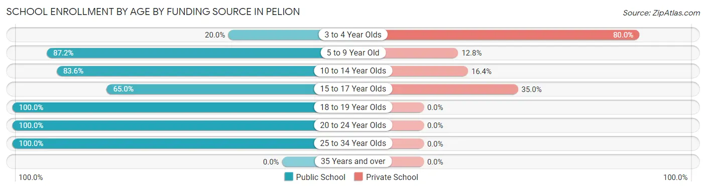 School Enrollment by Age by Funding Source in Pelion