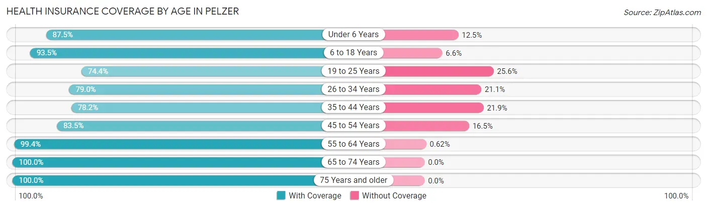 Health Insurance Coverage by Age in Pelzer
