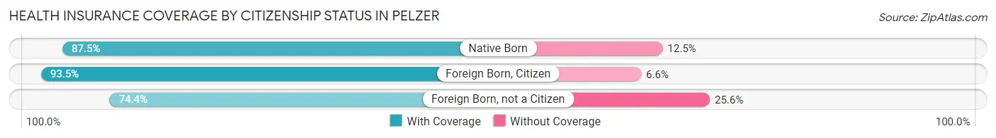 Health Insurance Coverage by Citizenship Status in Pelzer