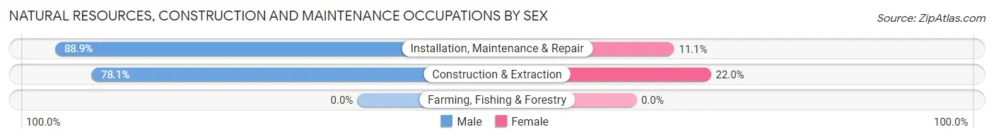 Natural Resources, Construction and Maintenance Occupations by Sex in Pelzer