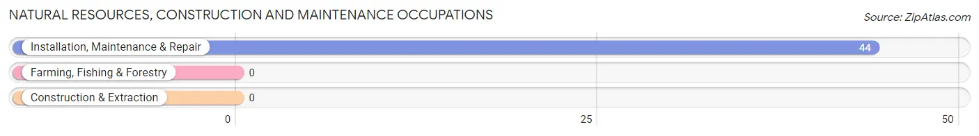 Natural Resources, Construction and Maintenance Occupations in Pendleton