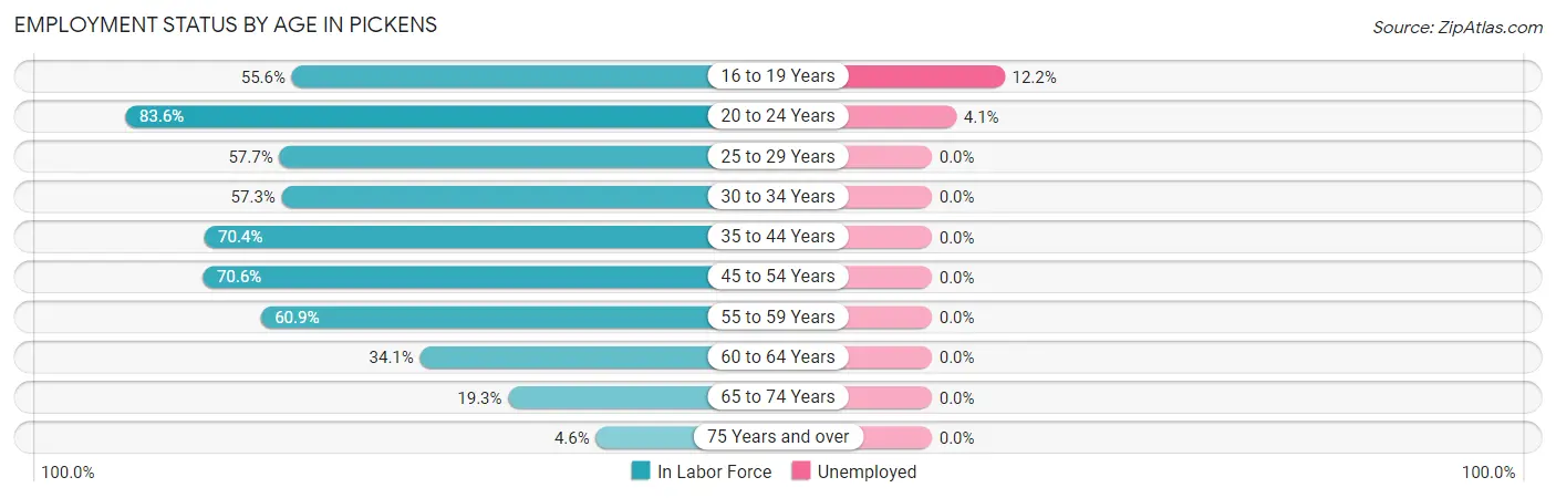 Employment Status by Age in Pickens