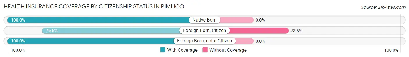 Health Insurance Coverage by Citizenship Status in Pimlico