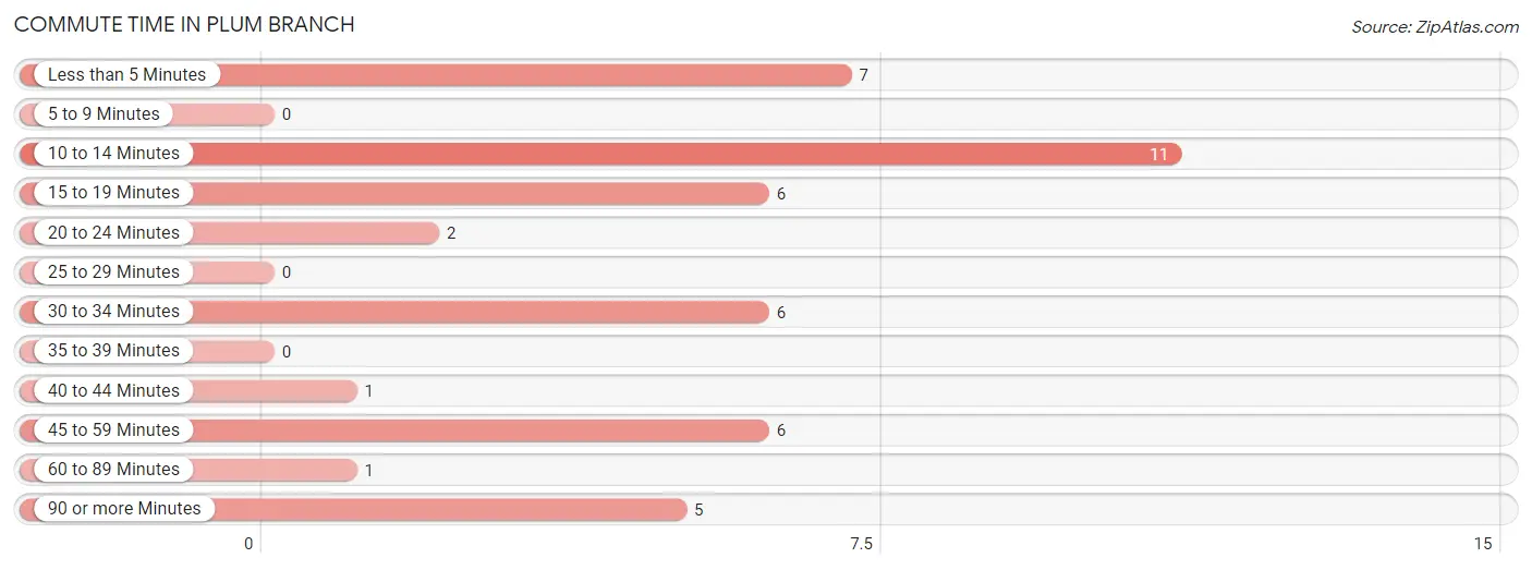 Commute Time in Plum Branch