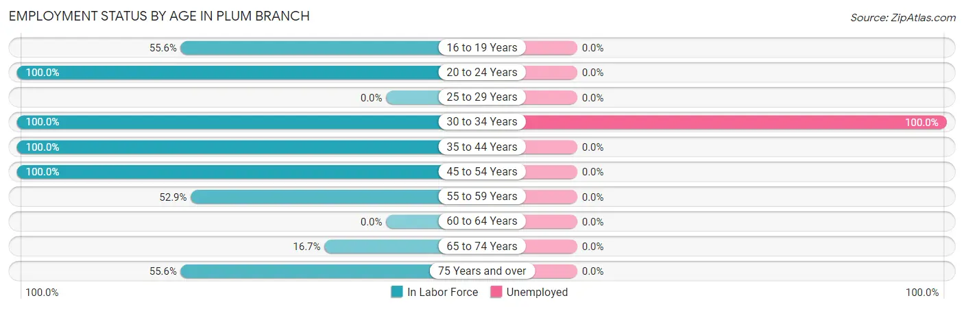 Employment Status by Age in Plum Branch