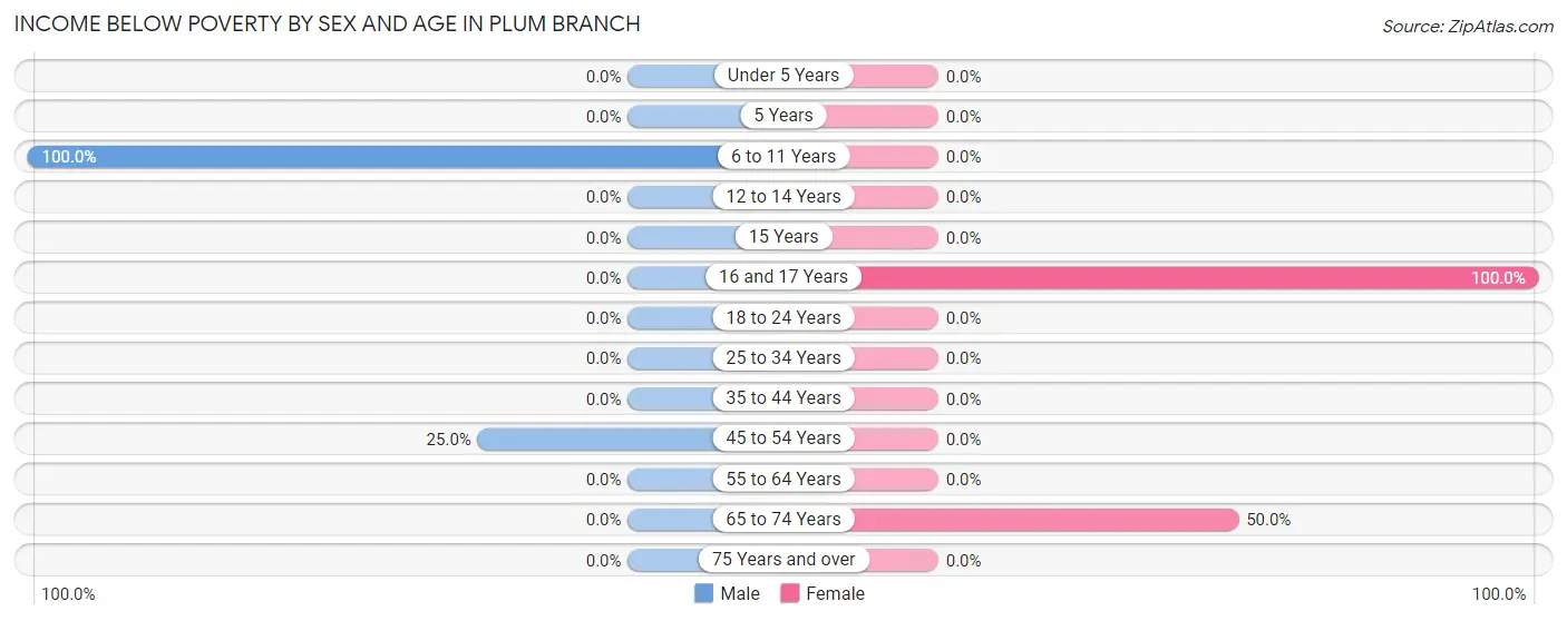 Income Below Poverty by Sex and Age in Plum Branch