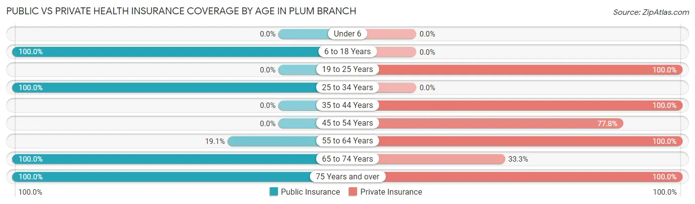 Public vs Private Health Insurance Coverage by Age in Plum Branch