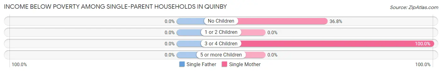 Income Below Poverty Among Single-Parent Households in Quinby