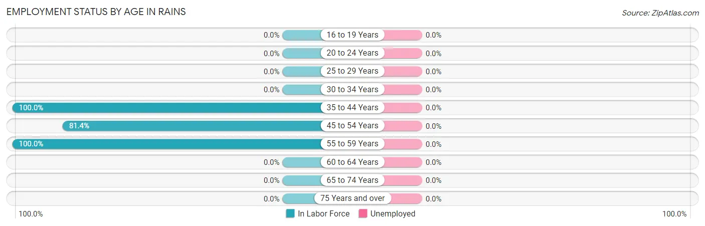 Employment Status by Age in Rains