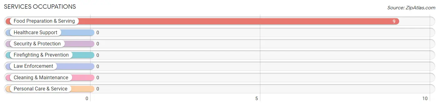 Services Occupations in Rembert