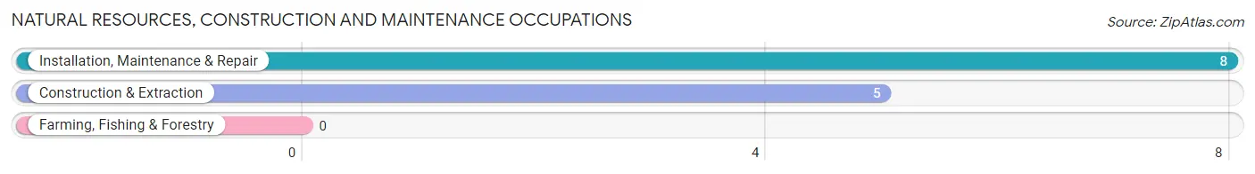 Natural Resources, Construction and Maintenance Occupations in Ridgeway