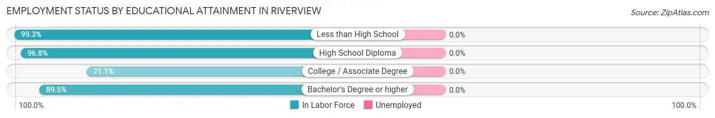 Employment Status by Educational Attainment in Riverview