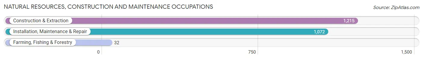 Natural Resources, Construction and Maintenance Occupations in Rock Hill